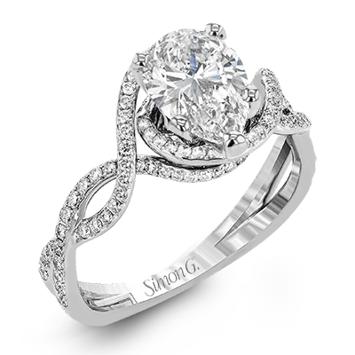 Main Selected Image