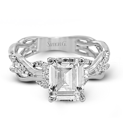 Main Selected Image