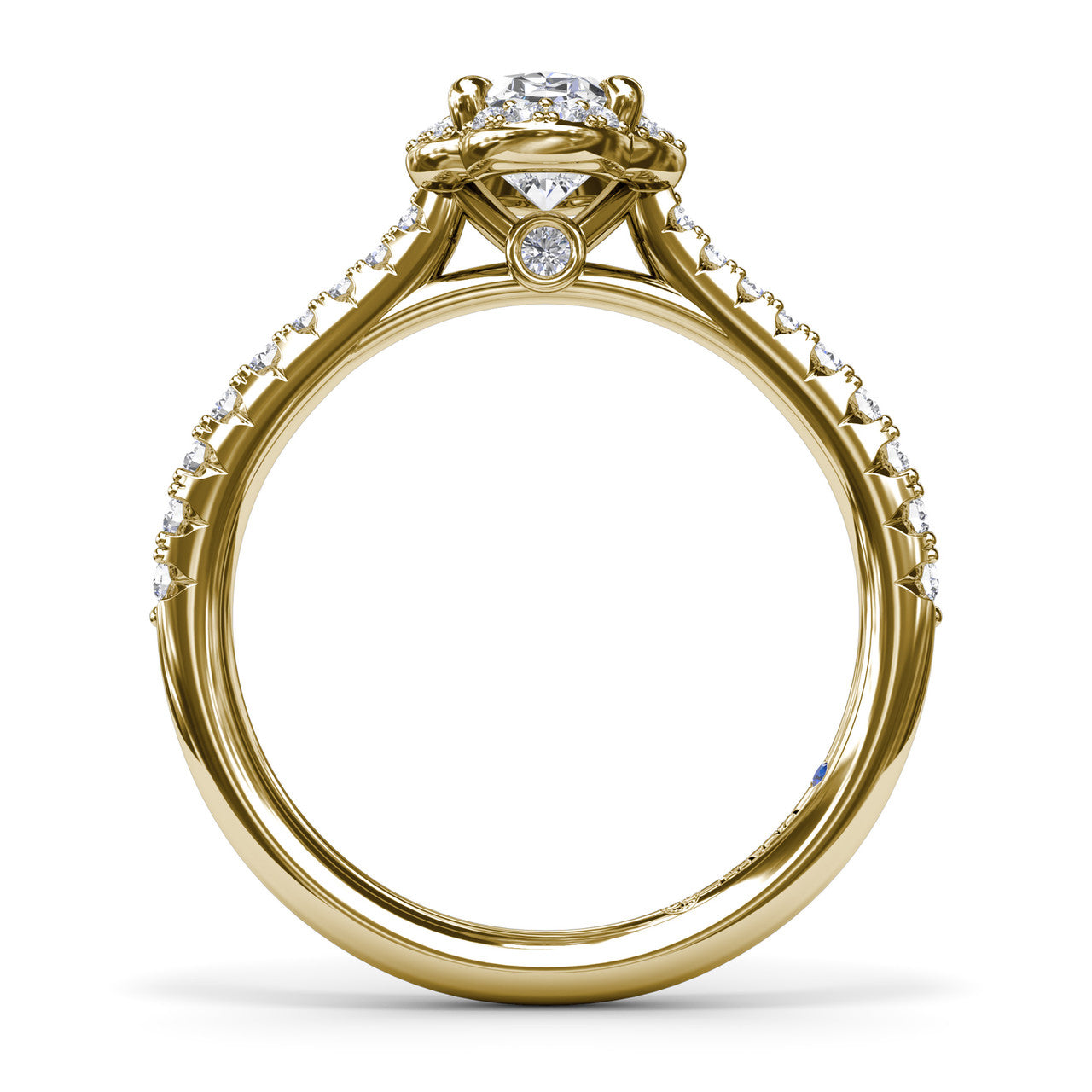 S4097-14kt-Yellow