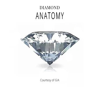 Diamond anatomy diagram