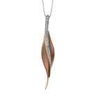 DP113-R