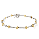 LB2538-Y