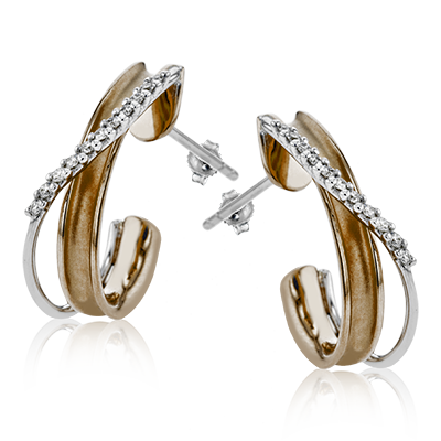 Main Selected Image