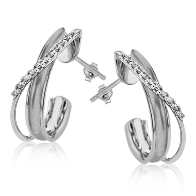 Main Selected Image