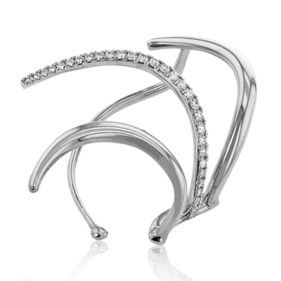 Main Selected Image