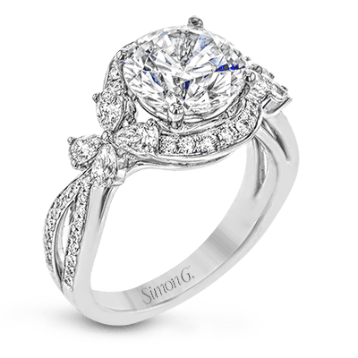 Main Selected Image