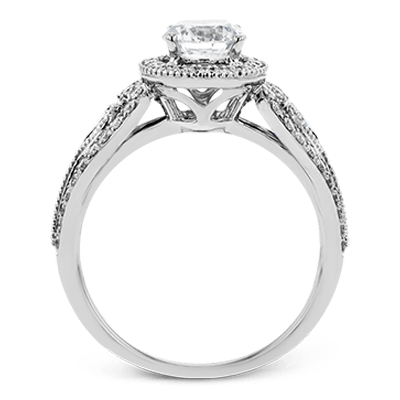 Main Selected Image