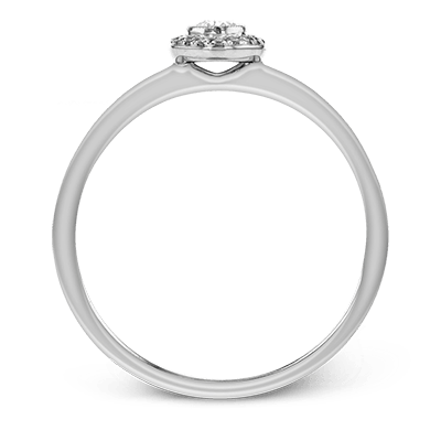 Main Selected Image