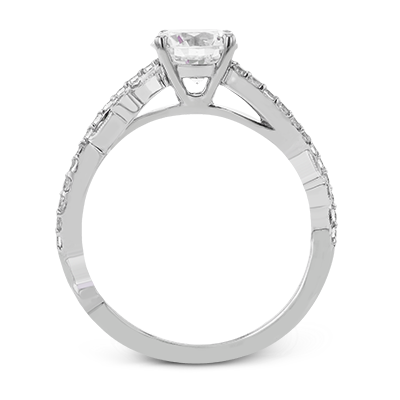 Main Selected Image