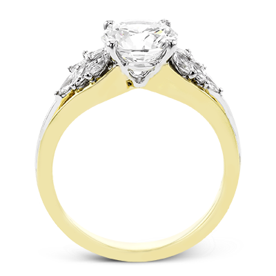 Main Selected Image