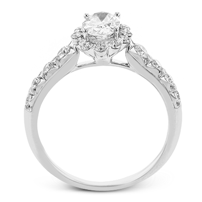 Main Selected Image