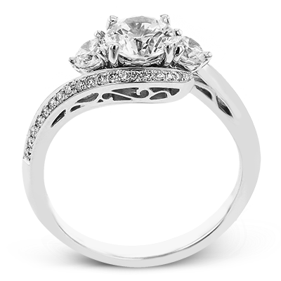 Main Selected Image