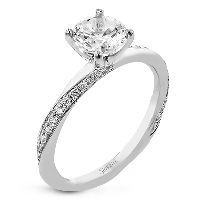 Main Selected Image