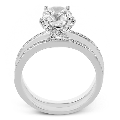 Main Selected Image
