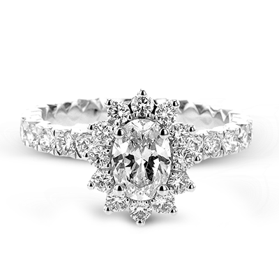 Main Selected Image
