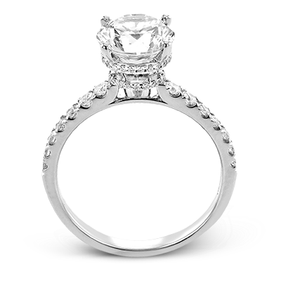 Main Selected Image