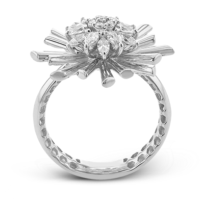 Main Selected Image