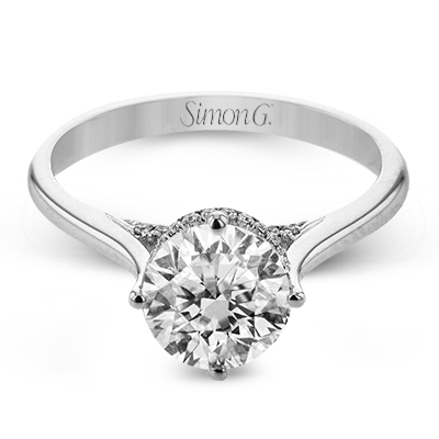 Main Selected Image