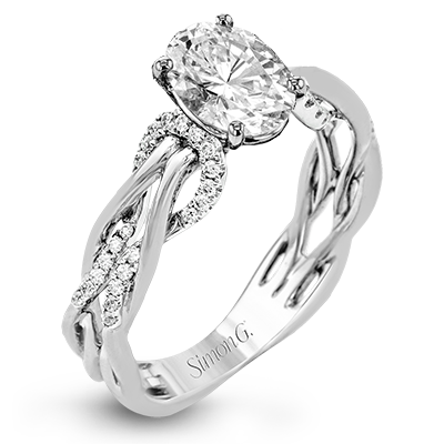 Main Selected Image