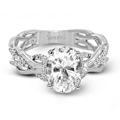 Main Selected Image