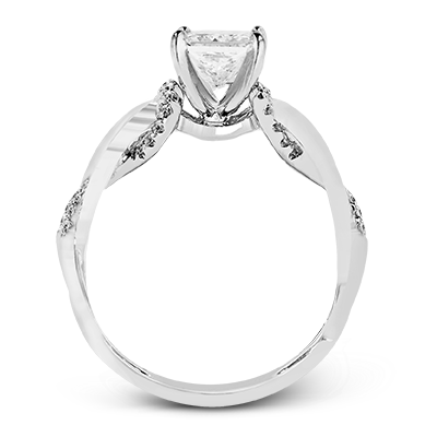 Main Selected Image