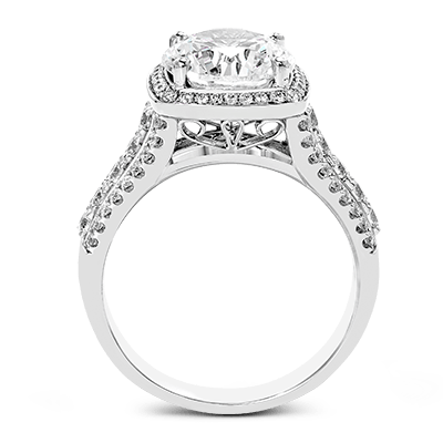 Main Selected Image