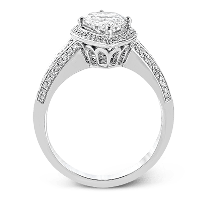 Main Selected Image