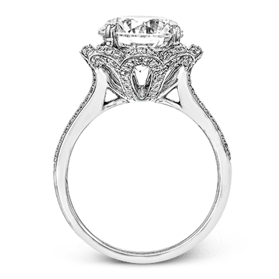 Main Selected Image