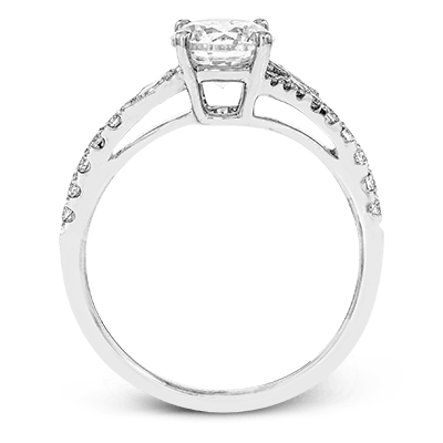 Main Selected Image