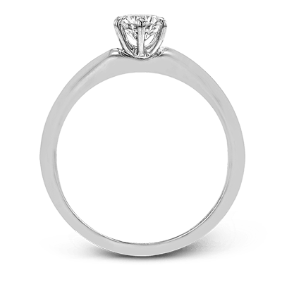 Main Selected Image