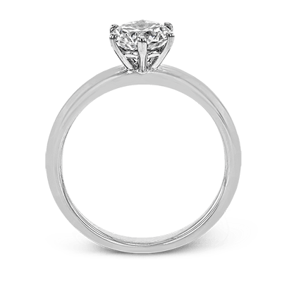 Main Selected Image