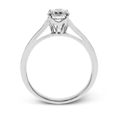 Main Selected Image