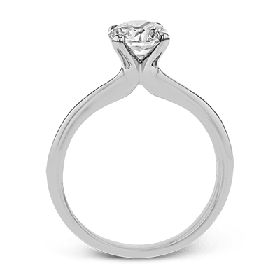 Main Selected Image
