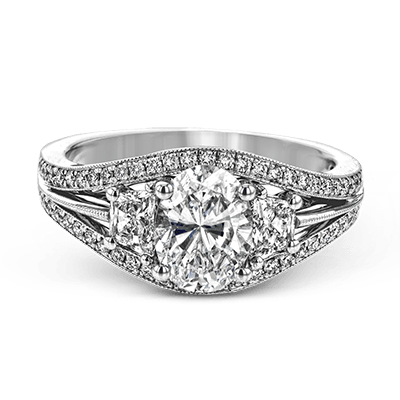 Main Selected Image