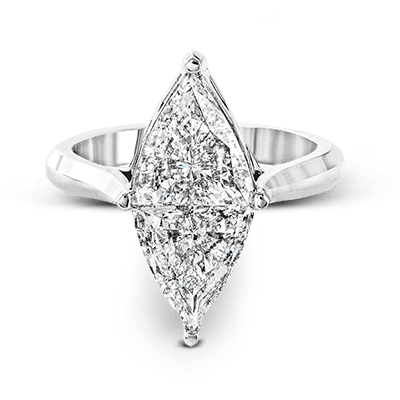 Main Selected Image