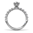 S3244-MQ-100CT-Platinum