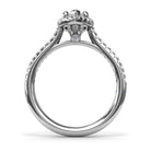 S3792-MQ-100CT-Platinum