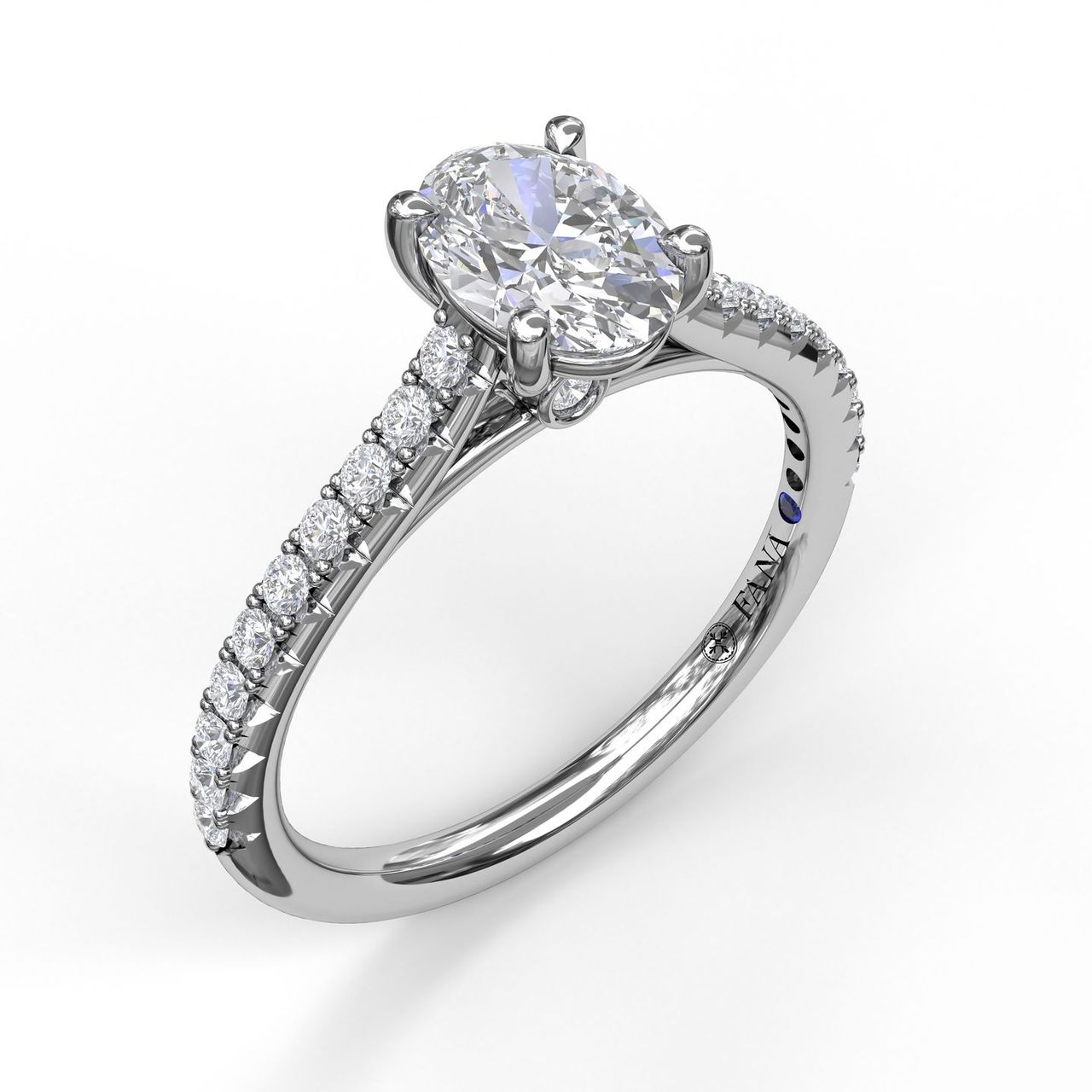 S3880-Platinum