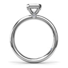 S4067-Platinum