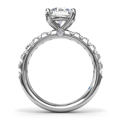 S4072-Platinum