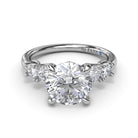 S4081-Platinum