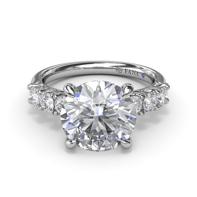 S4082-Platinum