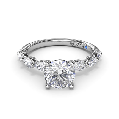 S4170-Platinum