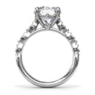S4199-Platinum