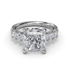 S4218-Platinum