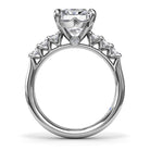 S4218-Platinum