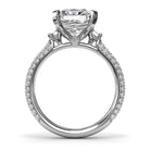 S4248-Platinum