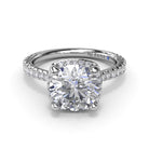 S4254-Platinum