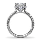 S4254-Platinum