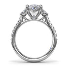 S4322-Platinum